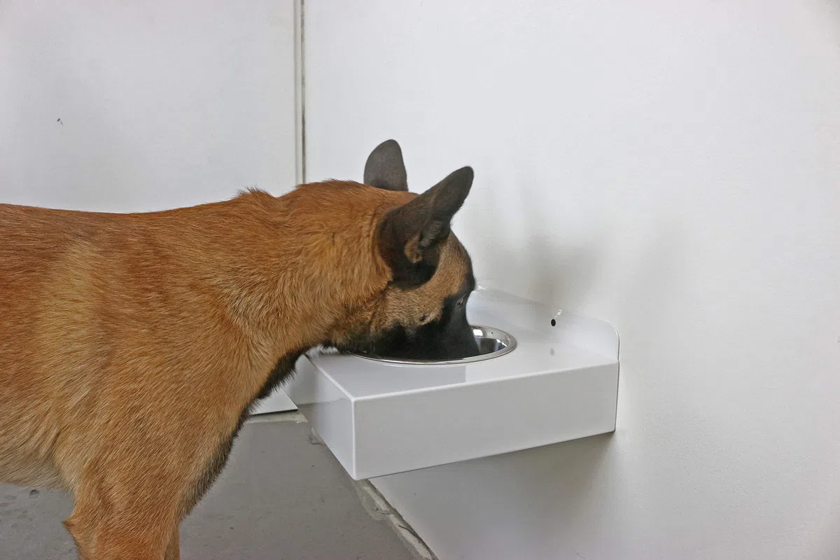 Elegante Schwebende Futterbar für die Wand aus Metall mit 2 Edelstahl Näpfen für Hunde Weiß