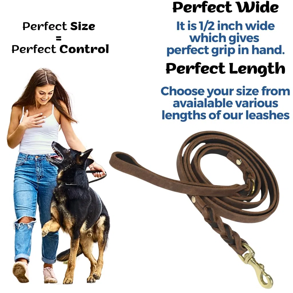 Hundeleine, geflochten, Leder, 152 cm, Vollnarbenleder, strapazierfähig, für große, mittelgroße und kleine Hunde, weiches Leder, ideal für Training, tatsächliche Größe (1.5 m, Dunkelbraun)