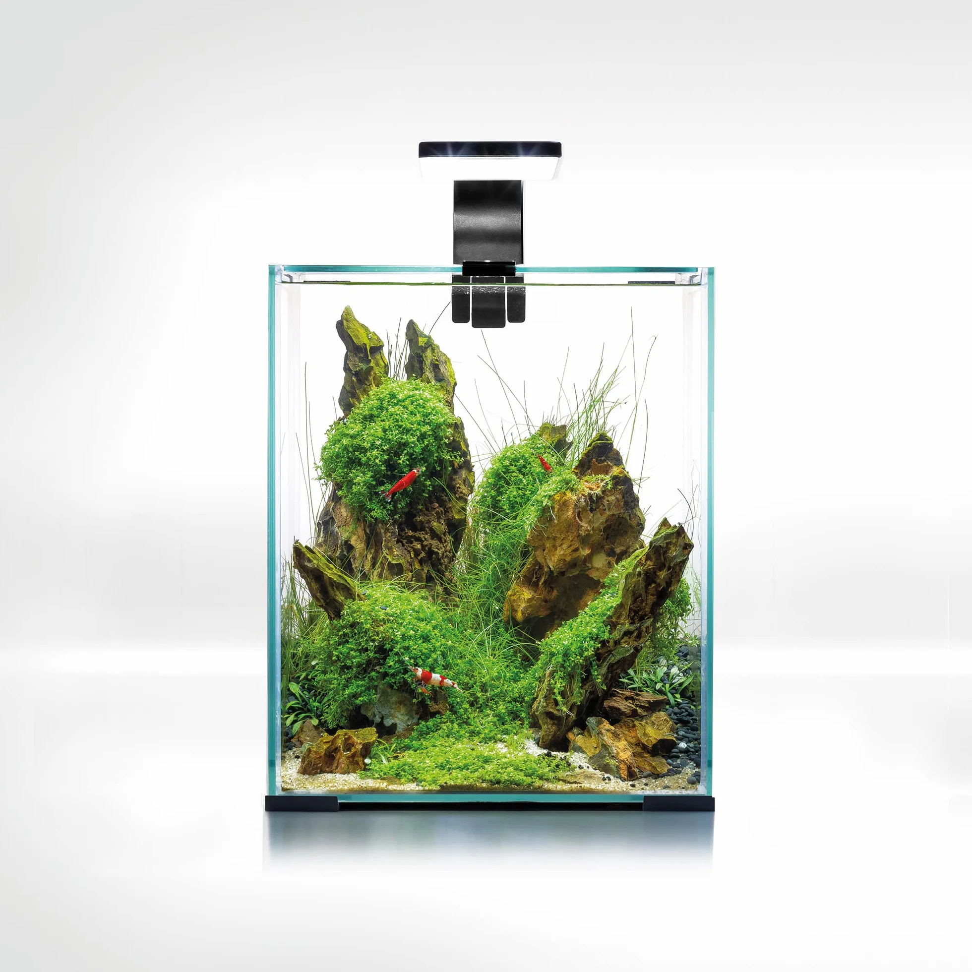 Aquael Shrimp Set SMART D&N 20 schwarz