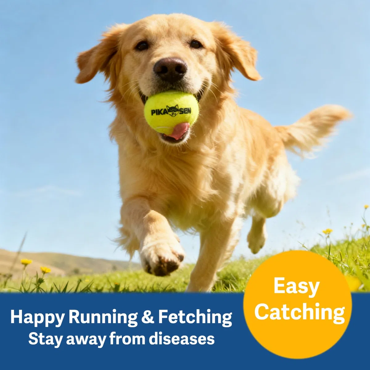 Quietschende Tennisbälle für Hunde, in 3 Größen, hochwertig, starke Hunde- und Welpenbälle zum Training, Spielen, Trainieren, die einfachste Farbe für Hunde, Rot, Gelb, Blau, Größe M, 12 Stück