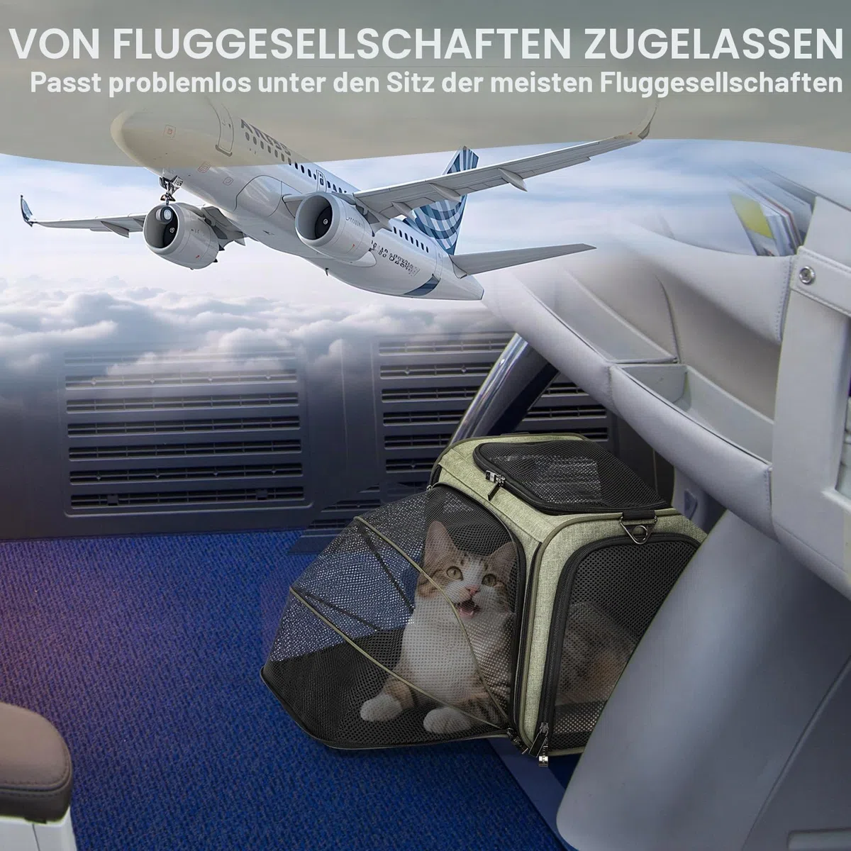 Petsfit Erweiterbare Haustier-Tragetasche, von Fluggesellschaften zugelassen, weiche Seiten, tragbare Katzen- und Hundetragetasche, mit abnehmbarer Plüschmatte, verschließbaren