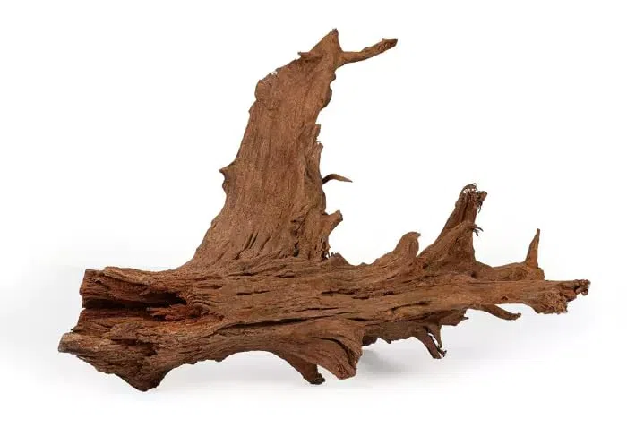 HAPPET Mangrovenwurzel XL Natürliche Dekoration für Aquarium & Terrarium, Fisch- & Reptilsicher ca. 100cm, Einzigartige Echtholzwurzel für Aquascaping & Terrariengestaltung, Haltbares Wurzelholz