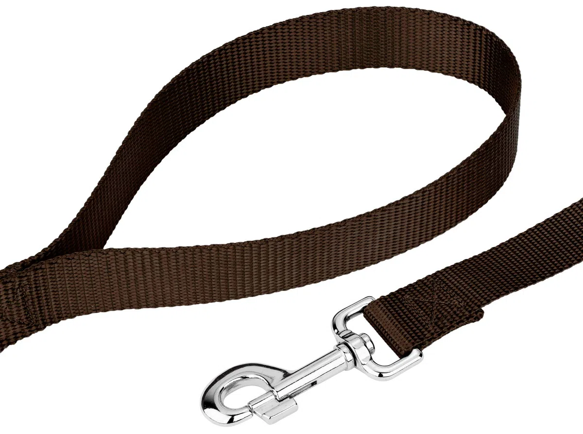 Country Brook Petz Hundeleine, Nylon, robust, langlebig, traditioneller Stil mit einfach zu bedienendem Schnappverschluss, in 25 Farben erhältlich (2,5 cm breit, 1,2 m, braun)