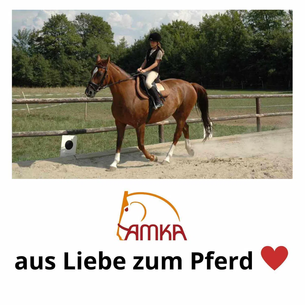 AMKA Mono Steigbügelriemen mit T-Haken extra breit = ca. 2,8 cm