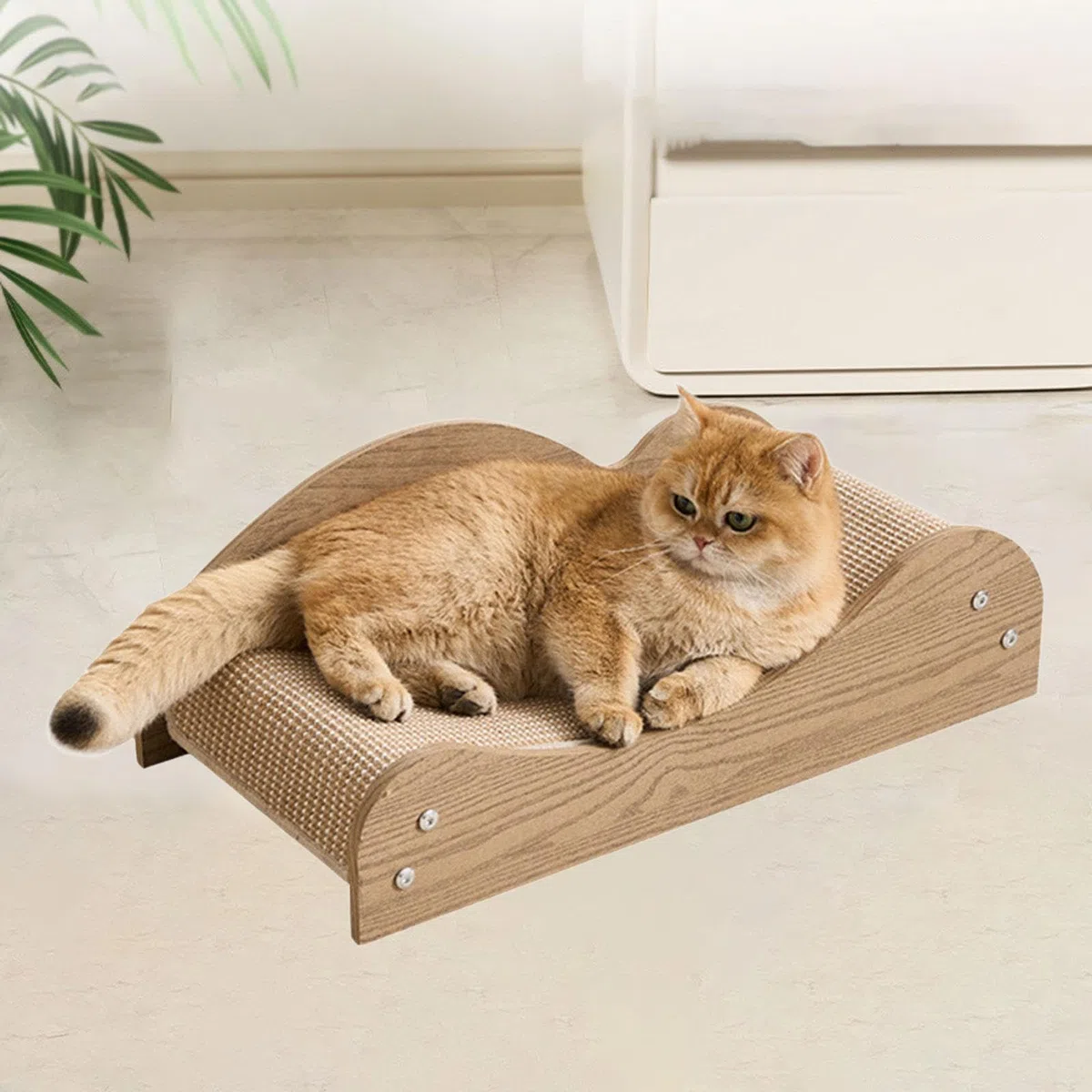 Kratzbrett, Krallenschärfer, interaktives Spielzeug, unterhaltsam für Kaninchen, Kätzchen, kleine, mittlere und große Katzen, Style A
