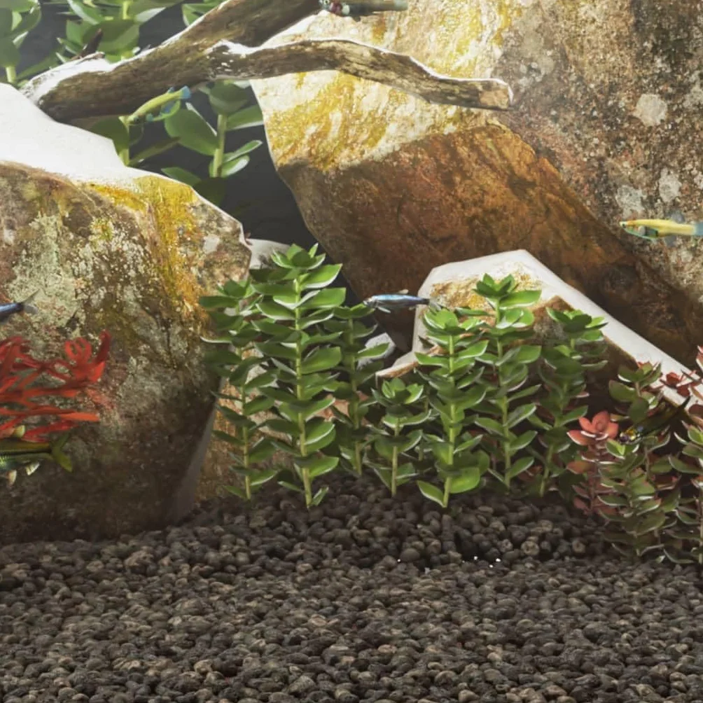 Basalt Kies schwarz 25 kg 5 bis 8 mm Bodengrund Substrat für Aquarium Aquaristik, fördert Pflanzenwachstum und Wurzelbildung, wasserneutral, dekorativ für Becken und Garten