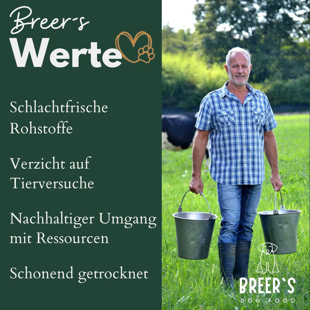 BREERs Getrocknete Ochsenziemer 12 cm für Hunde 25 Stück eigene deutsche Herstellung | Hundeleckerli Kaustange Hundesnack für große, kleine Hunde & Welpen | Kauartikel reinigt und stärkt das Gebiss