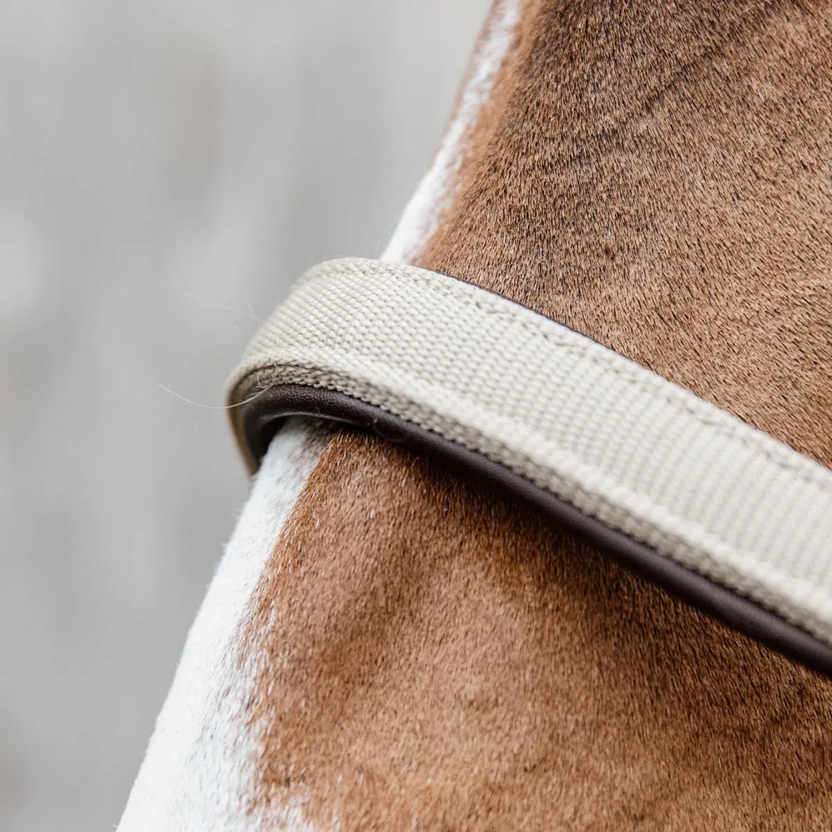 Nylon Halfter anatomisch, Größe:Full, Farbe:beige