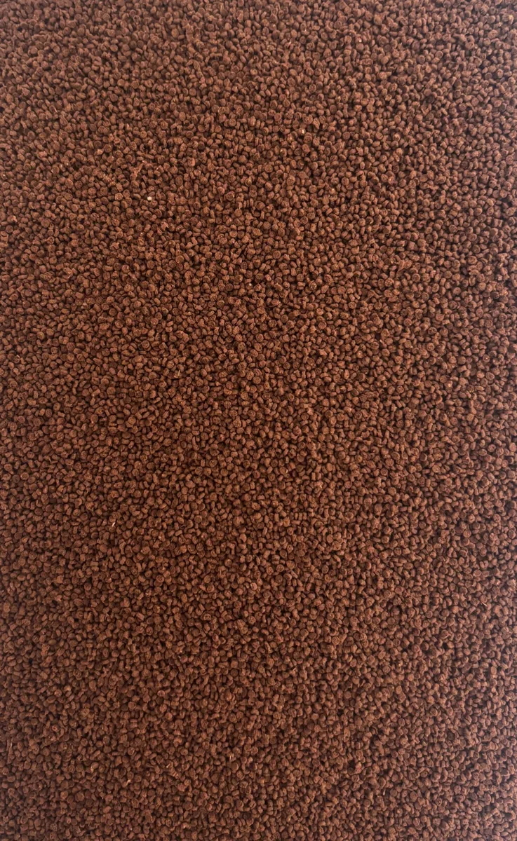 Premium DISKUSGRANULAT Hauptfutter f. prächtige, gesunde Diskusfische (10 000 Gramm)