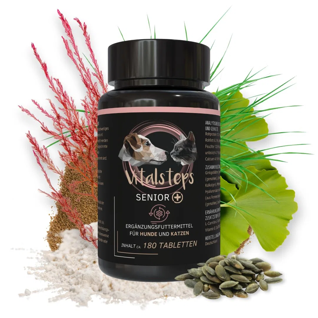 Senior+ | Hyaluronsäure, MSM, Ginkgoblätter, für Hund u. Katze ca. 400 Tabletten