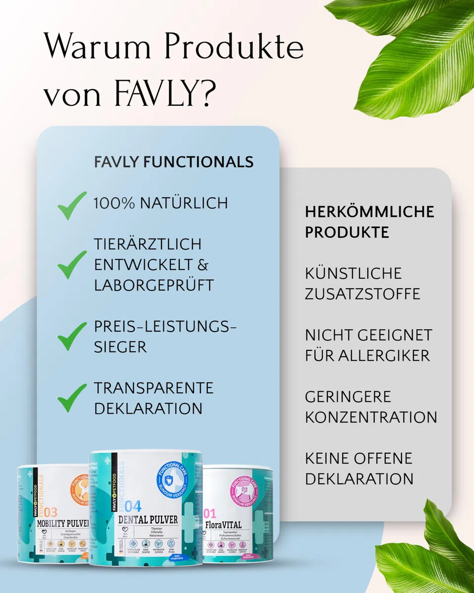 FAVLY – DENTAL Zahnpflege Pulver für Hunde 250g – Ergänzungsfuttermittel Zahnpulver Topping Hund gegen Maulgeruch & Zahnbelag – mit Bio-Chlorella & Salbei – ohne Getreide & Zusätze