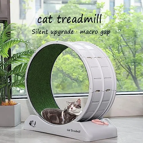 Katzen-Trainingsrad für Indoor-Katzen - Laufband mit Feststellmechanismus & geräuschloser Bedienung - Perfekt für Indoor-Katzen-Fitness und Übung