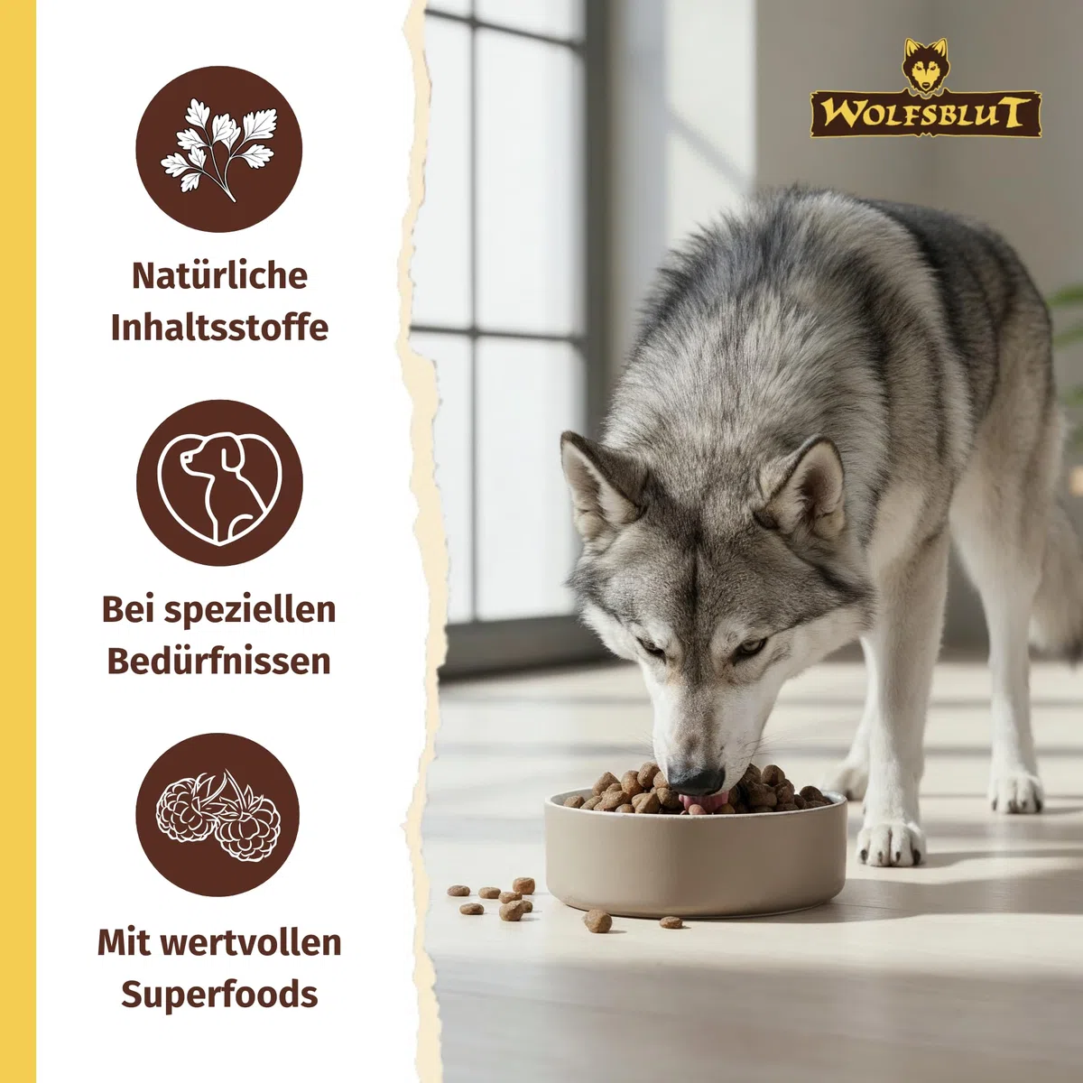 WOLFSBLUT – VetLine Hypoallergenic | Diät Trockenfutter für ausgewachsene Hunde mit Futterunverträglichkeiten. Getreidefreies Alleinfutter im Beutel | 12kg Pferd mit Süßkartoffeln