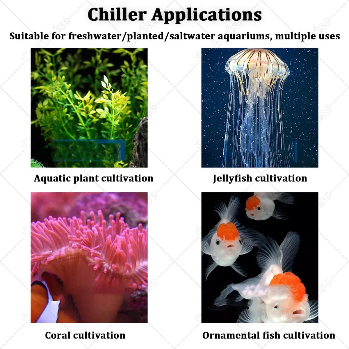 Aquarium Chiller 1/3HP Wasserkühlsystem für Aquarien, Hydrokultur, Axolotl & Quallen, mit LED-Anzeige, Pumpe & Rohr, effiziente Wassertemperaturregelung