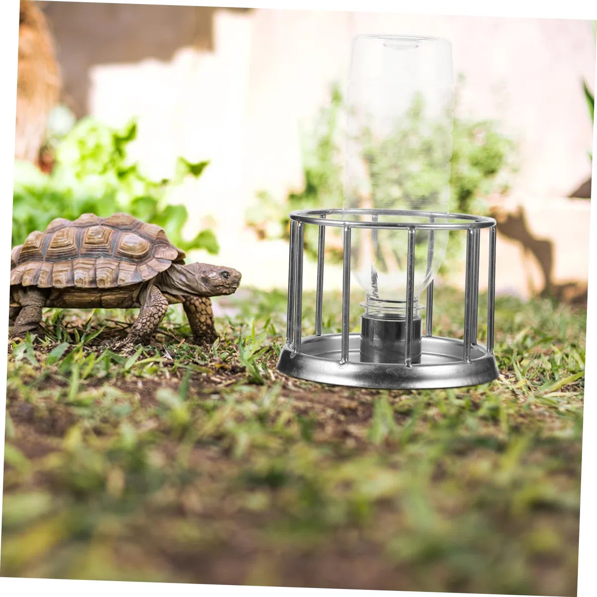 Kisangel 5stücke Turtle Pet Feeding Dish Edelstahl Tortoise Wasserbehälter Für Reptilien Spritzschutz Für Sauberes Wasser Praktischer Trinkbehälter Für Schildkröten Und Reptilien