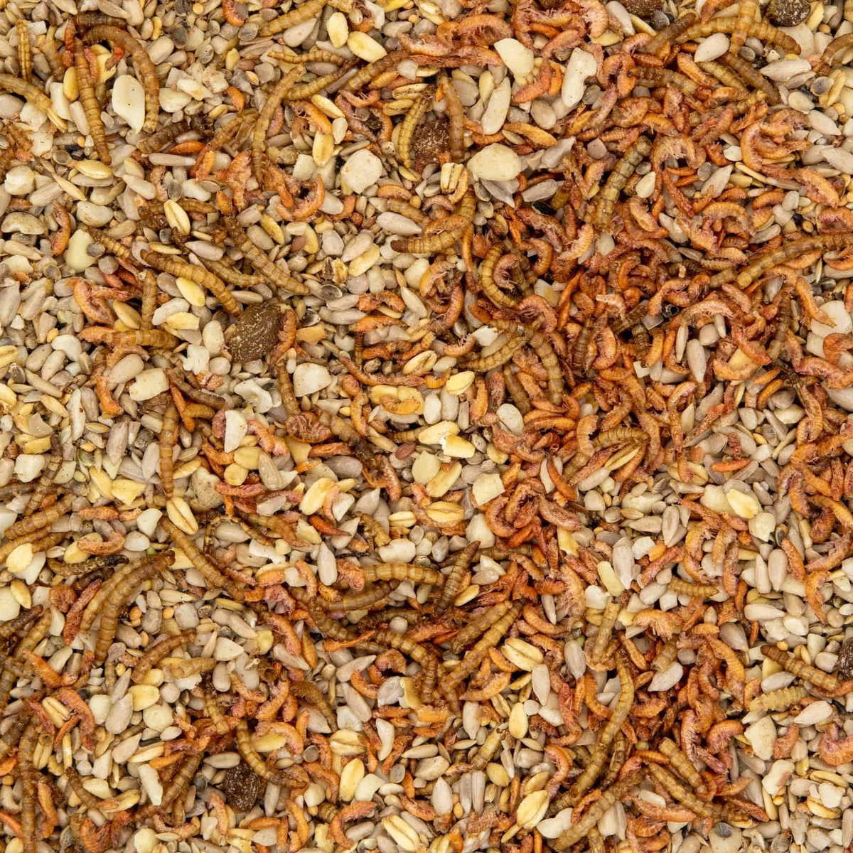 Paul´s Mühle Wildvogelfutter, Vogelfutter ideal für Brutzeit und Aufzucht, Phönix, 10 kg