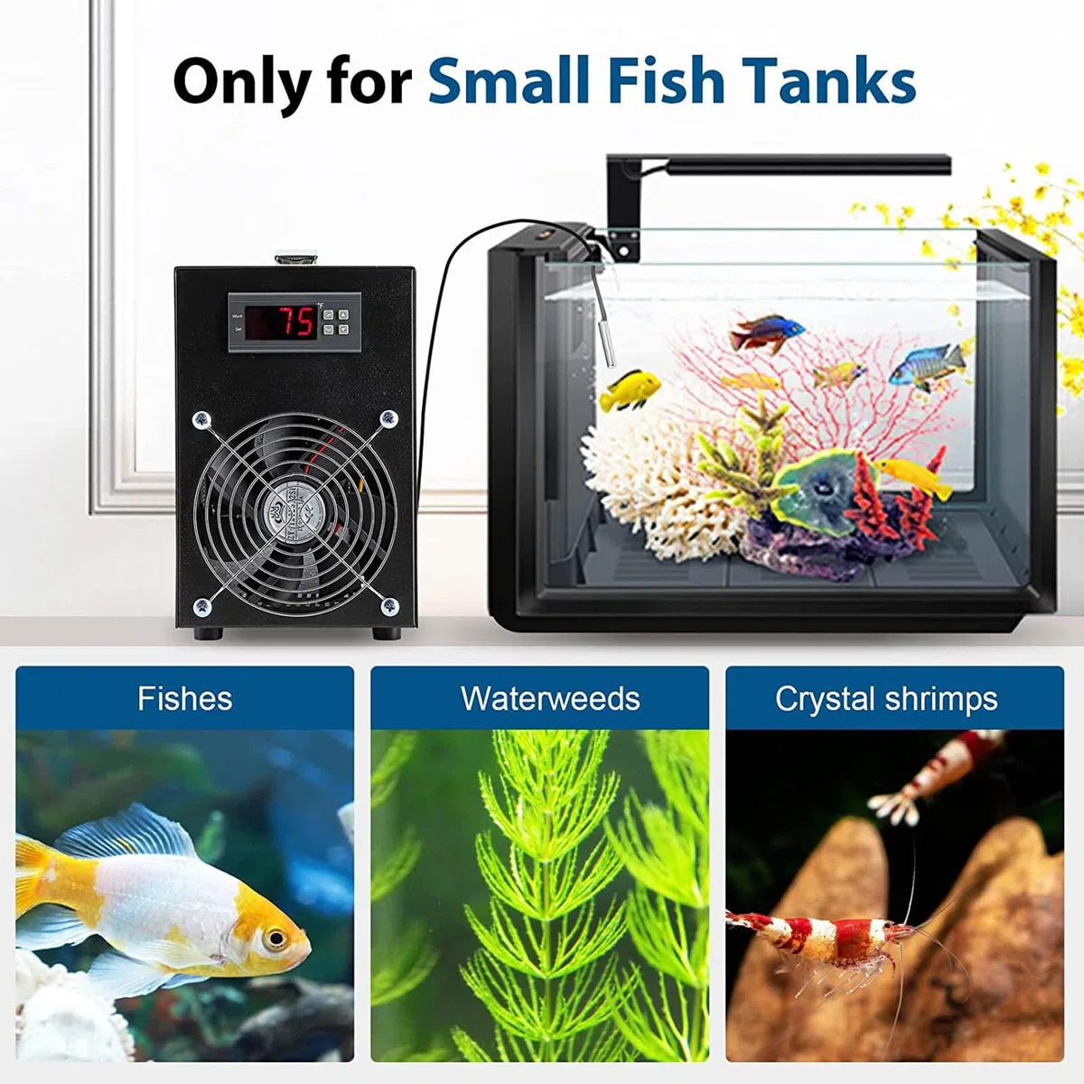 180W AquarienküHler, 6 L Kleines Thermostataquarium FüR Den Heimgebrauch, AquarienküHler Und -Heizung, Schnelle WäRmeableitung, FüR Meerwasser/SüßWasserhydrokultur,Cooling