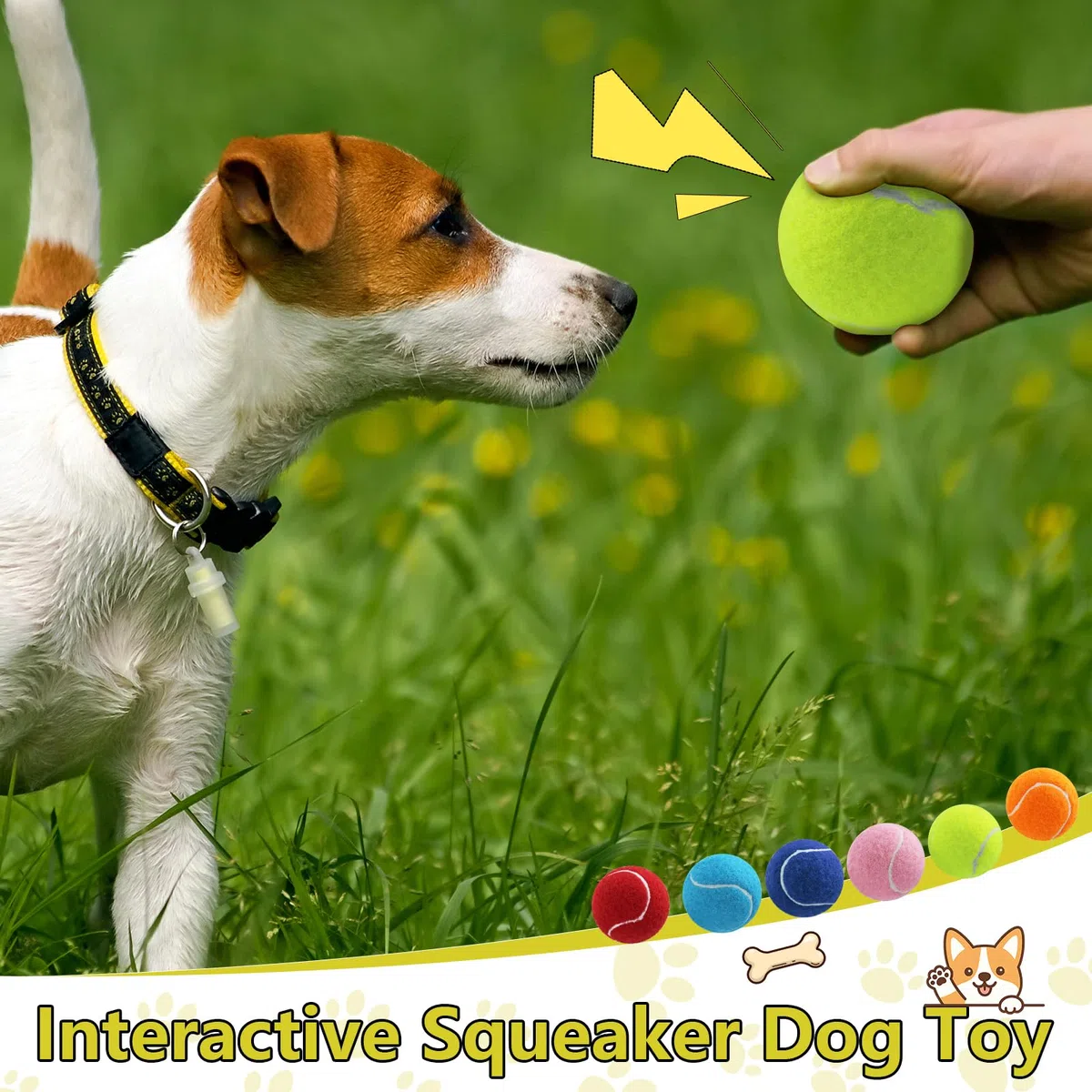 Swingers Quietschende Tennisbälle für Hunde, 6,3 cm, Trainingsball für Haustiere, Hunde, mit Netz-Tragetasche, leicht zu transportieren (mehrfarbig, 60 Stück)