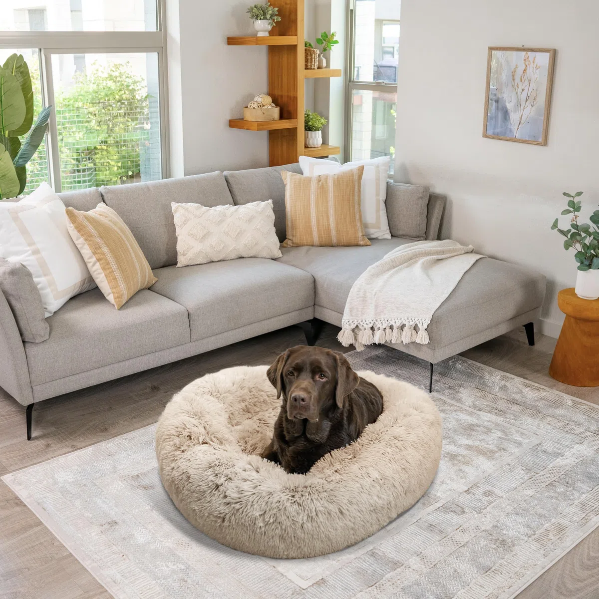 Best Friends by Sheri The Original Calming Donut - Beruhigendes Haustierbett - maschinenwaschbarer Reißverschluss-Bezug - Taupe - 91 x 91 cm - L