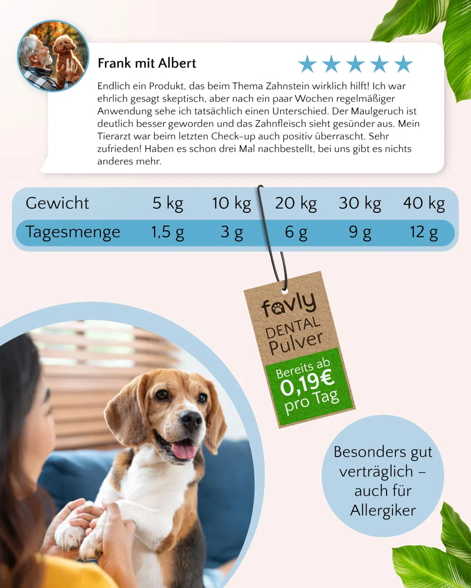 FAVLY – DENTAL Zahnpflege Pulver für Hunde 250g – Ergänzungsfuttermittel Zahnpulver Topping Hund gegen Maulgeruch & Zahnbelag – mit Bio-Chlorella & Salbei – ohne Getreide & Zusätze