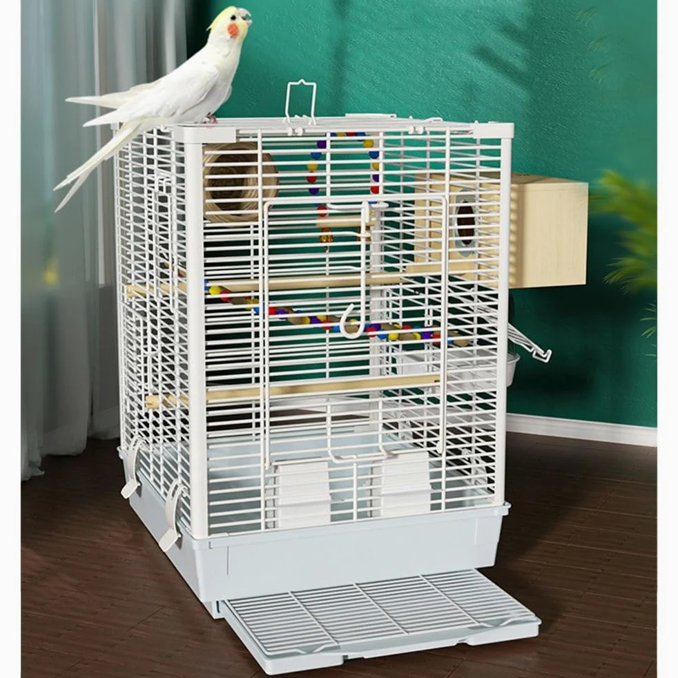 Voliere Großer Vogelkäfig, Oberseite for Öffnen, horizontale Drähte an Vier Seiten, erhöhte Chassistür mit Schloss