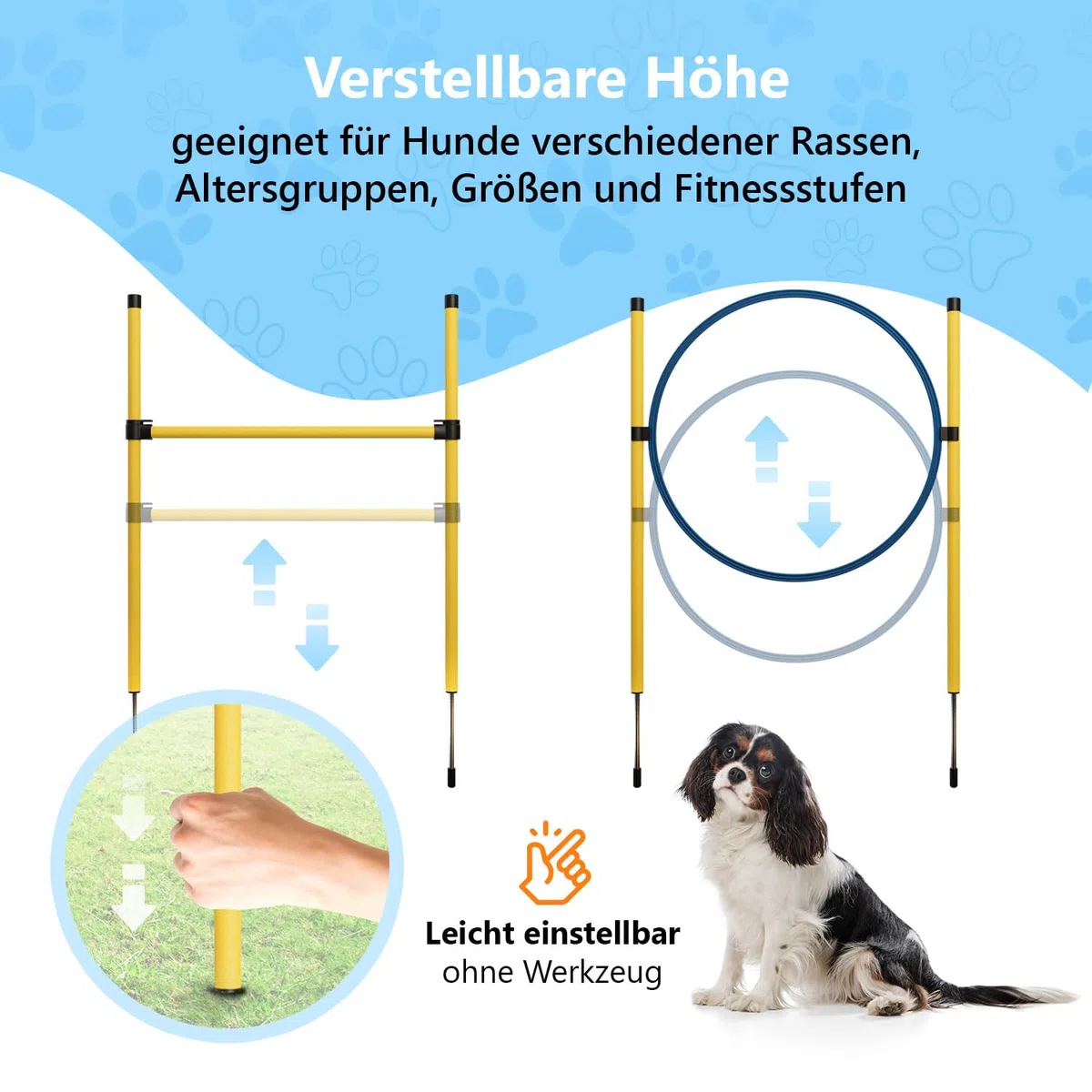 Agility Set Hunde Klein und Groß aus Tunnel für Hunde, Agility Stangen, Hürdenstange, Agility Ring & Pausenbox für Hunde Beschäftigung - Hundetraining Zubehör