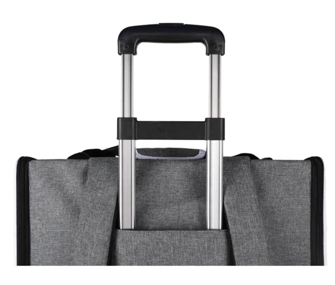 Rucksack Robuste Hunde-Reisetasche, Fünf Löcher, Rucksack, Haustier-Träger, Netztasche Für Hunde Und Katzen, Haustier-Rucksack Haustier(B)