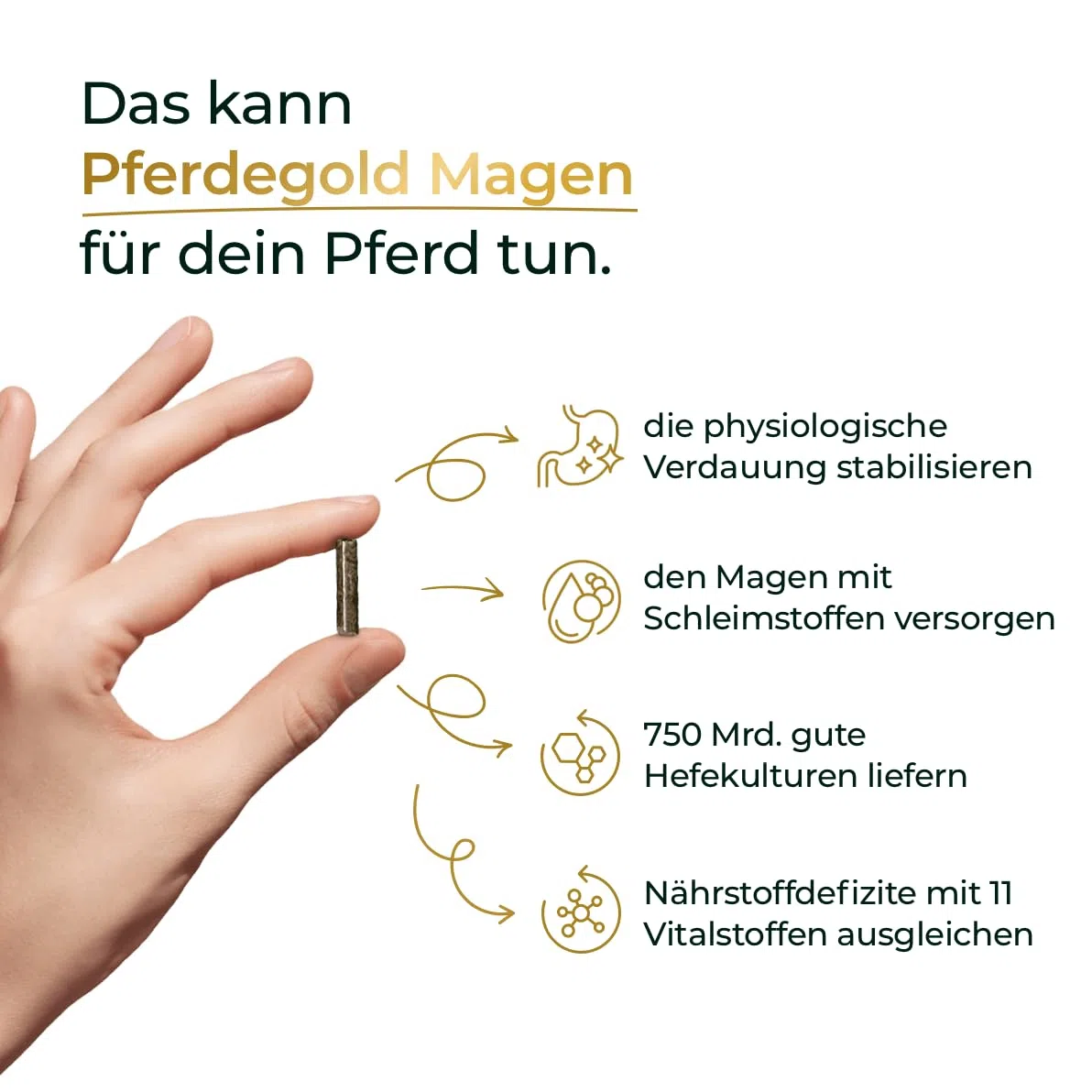 Magen 1,5kg - Diätergänzungsfuttermittel für Pferde | mit L-Glutamin, L-Threonin, Magnesiumglycinat & 750 Mrd. Hefekulturen - Made in Germany