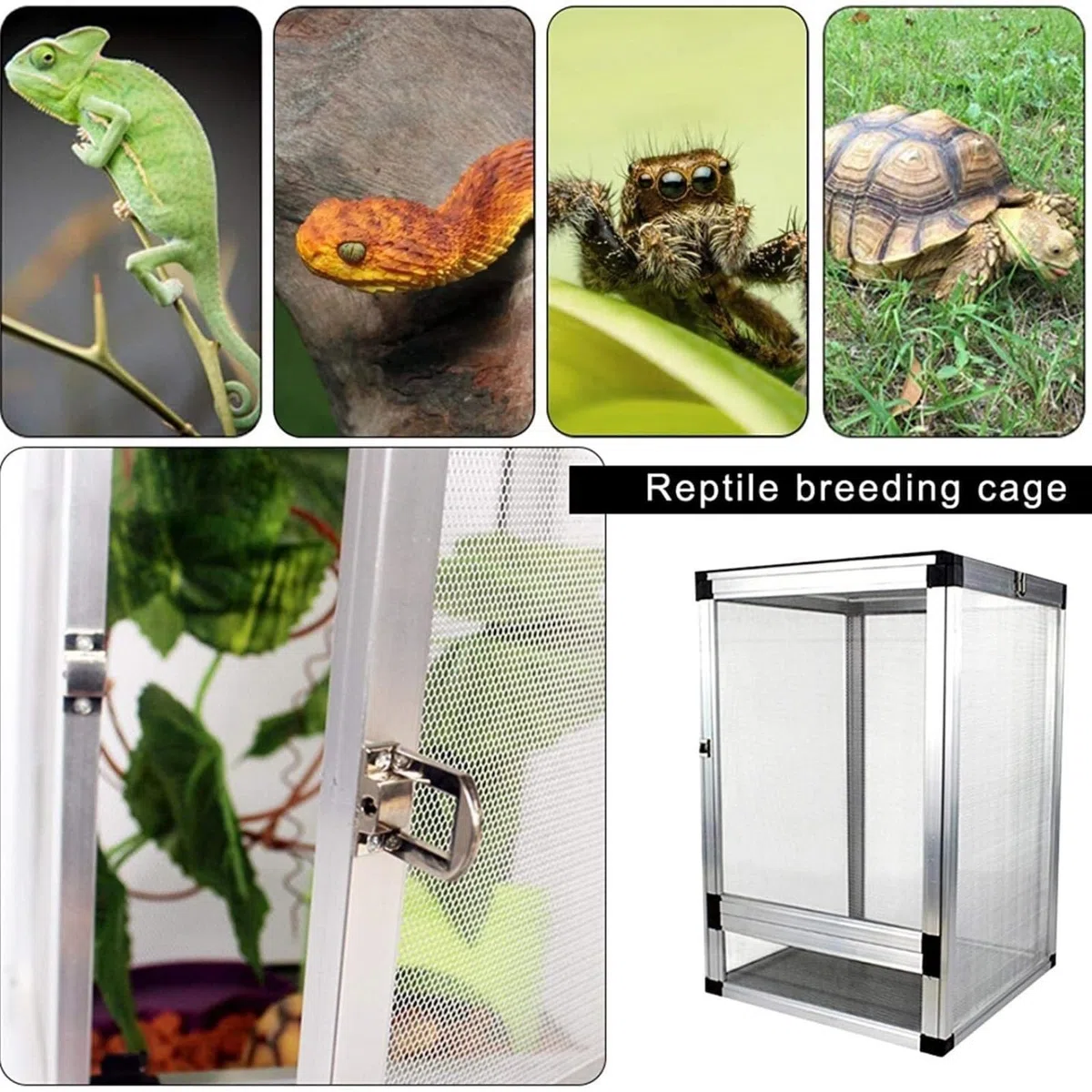 Reptilien Aufzuchtbox Reptilien-Lebensraum-Bildschirm, Fütterungskäfig, Insektenbox, Aluminium Reptile Zuchtbox(Black)