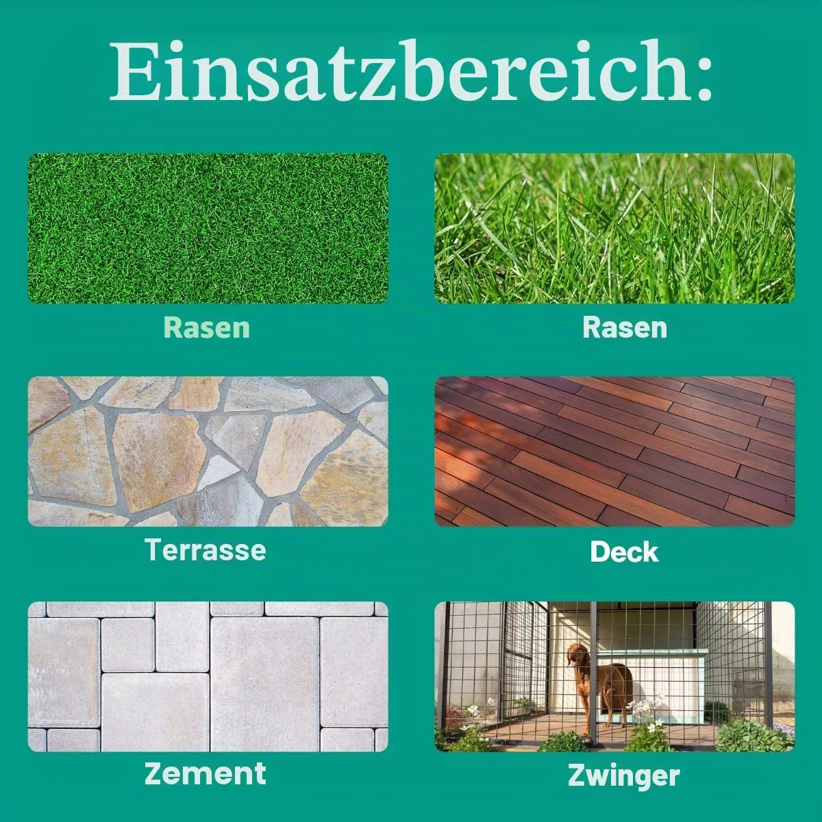 Eco Strong Geruchsvernichter für den Außenbereich, Enzymreiniger für Hunde, leistungsstark, für Tiere und Hof, Rasen, Zwingern, Terrassen, Decks (1 Gallon)
