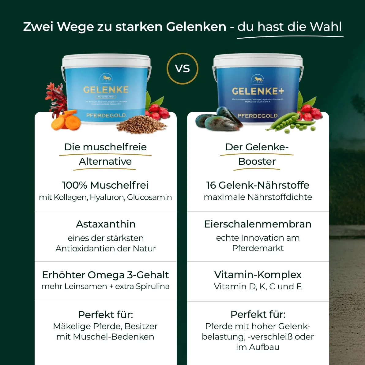 Gelenke Muschelfrei 1,5kg - Gelenk-Pellets ohne Muscheln | Mit Astaxanthin, Hyaluron, Kollagen & Spirulina - Natürlich & dopingfrei - Made in Germany