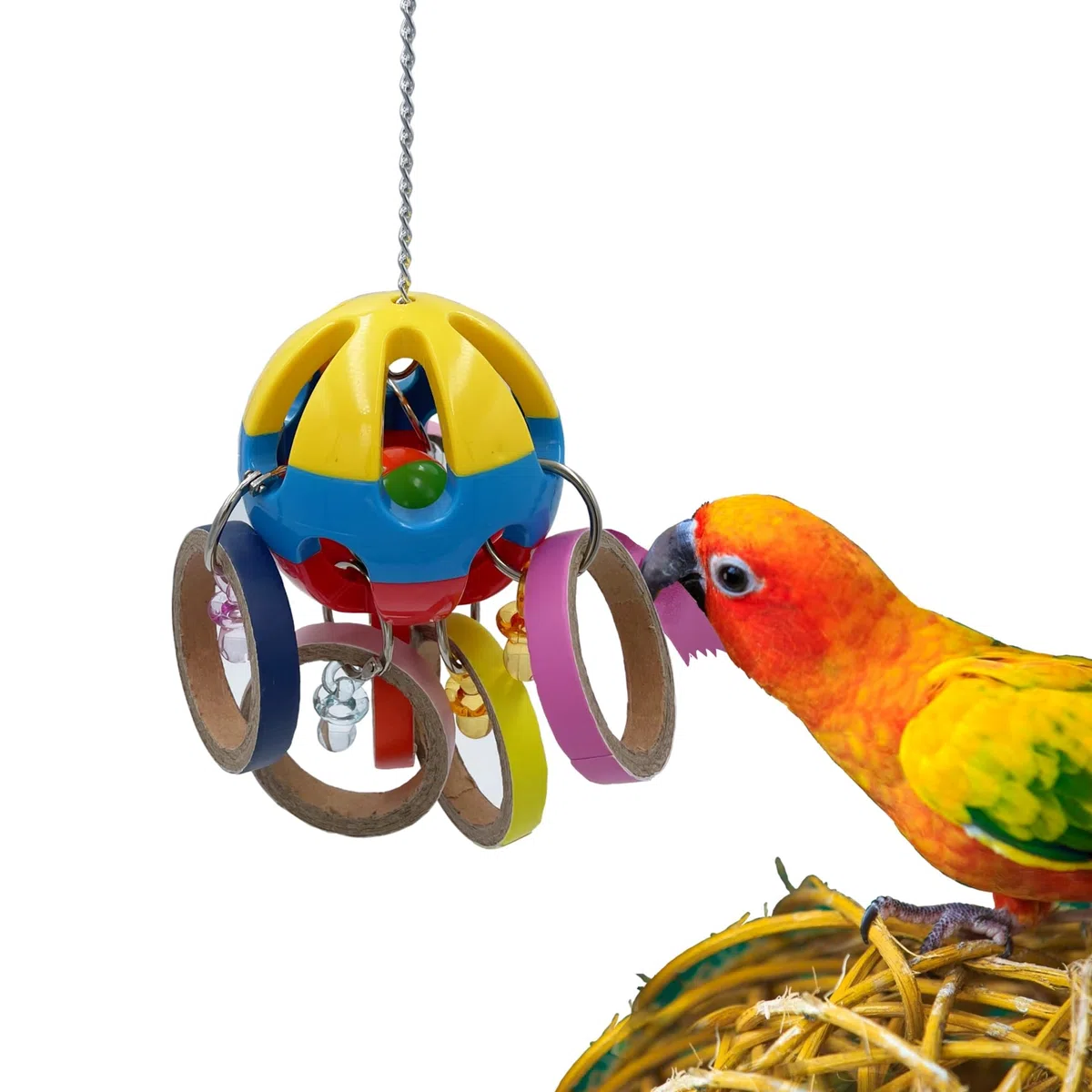 Bird Parrot Plastic Ball Toys with Colorful Cardboard Bagel and Acrylic Pacifiers for Parrot African Grey Cockatoo Cockatiel Sun Conures