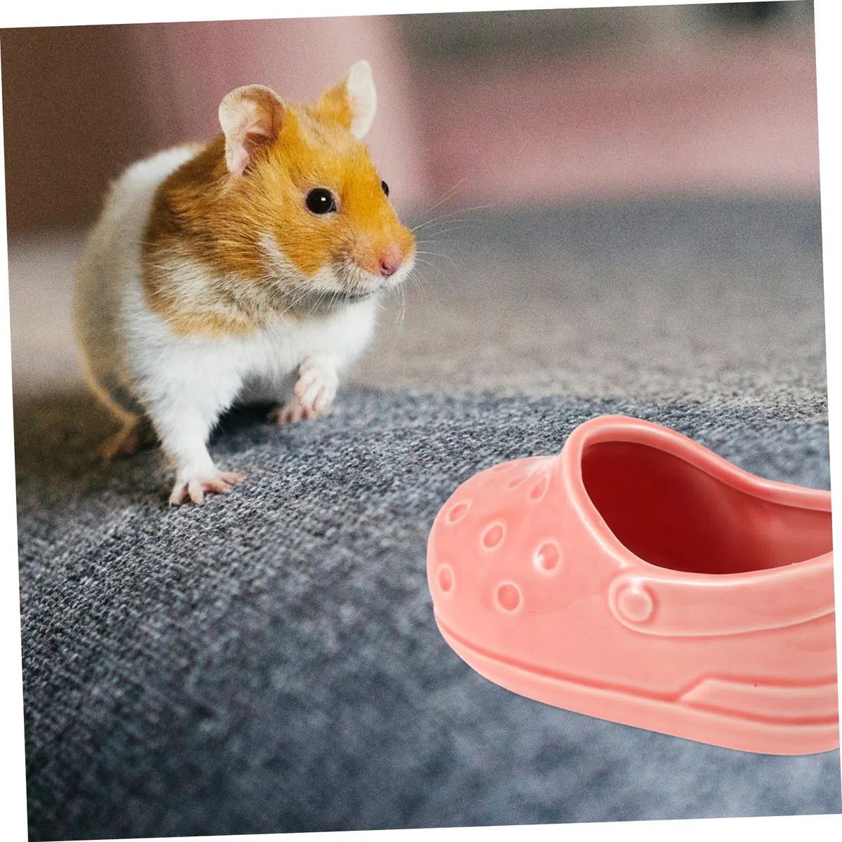 Yardwe 5stücke Keramische Hamster Futterschale rutschfeste Kleine Tiernapf Geeignet Für Hamster Mäuse Meerschweinchen Und Andere Kleintiere Leicht Zu Reinigen Langlebig Und Hygienisch
