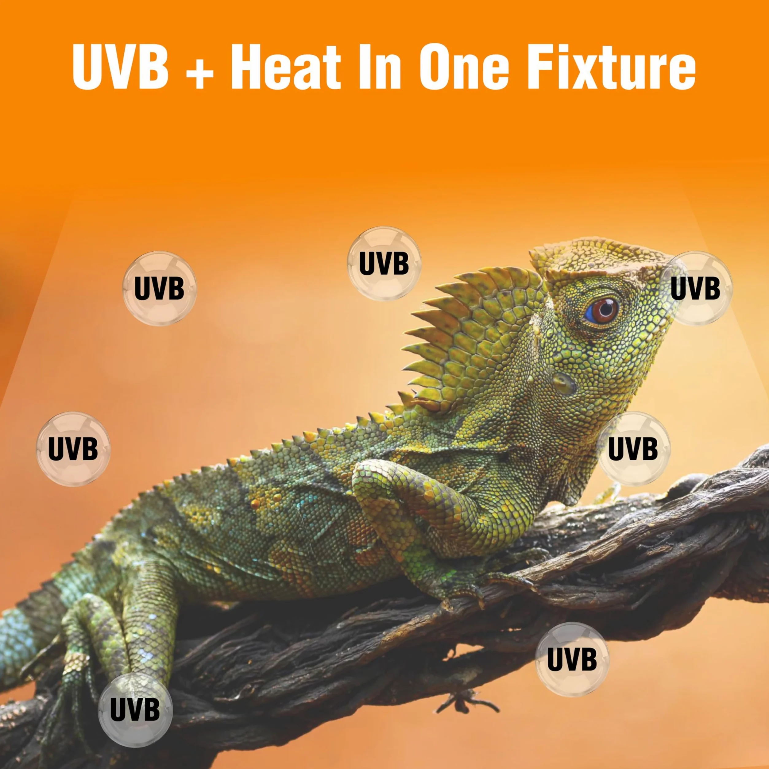 CAROLINA CUSTOM CAGES Reptile 55,9 cm T5HO UVB 24 W Standard-Leuchtmittel, Bündel mit 10,0 UVB T5HO 24 W 55,9 cm Reptilienbeleuchtung Leuchtstoffröhre